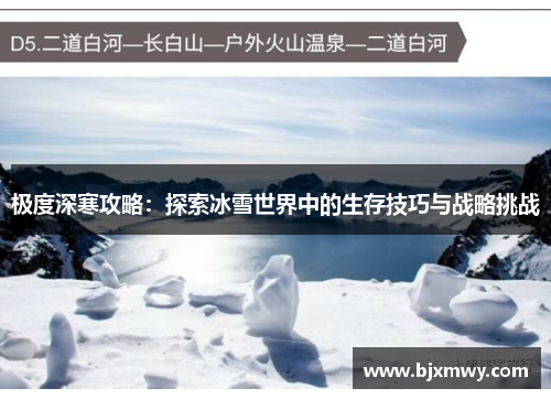 极度深寒攻略：探索冰雪世界中的生存技巧与战略挑战